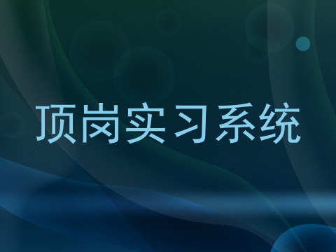 顶岗实习系统