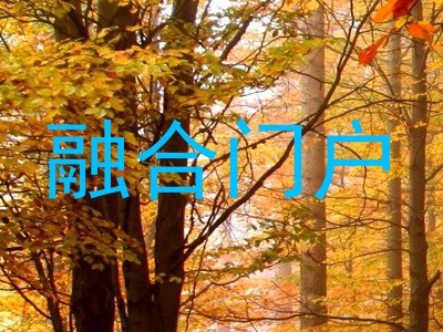融合门户