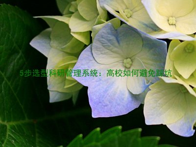 5步选型科研管理系统:高校如何避免踩坑