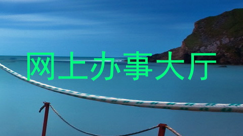 网上办事大厅