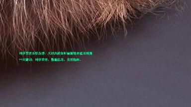 科研管理系统选型:天津高校如何破解数据孤岛难题
**关键词:科研管理、数据孤岛、选型指南、
