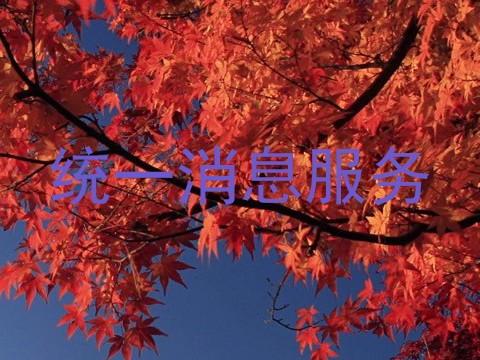 统一消息服务