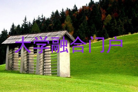 大学融合门户