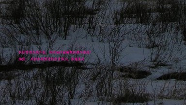 科研管理系统升级,高校如何破解数据孤岛难题?
摘要: 高校科研管理信息化滞后,数据孤岛