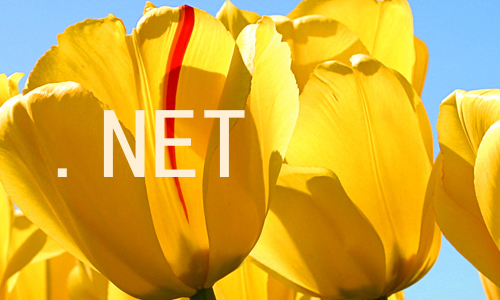 .NET