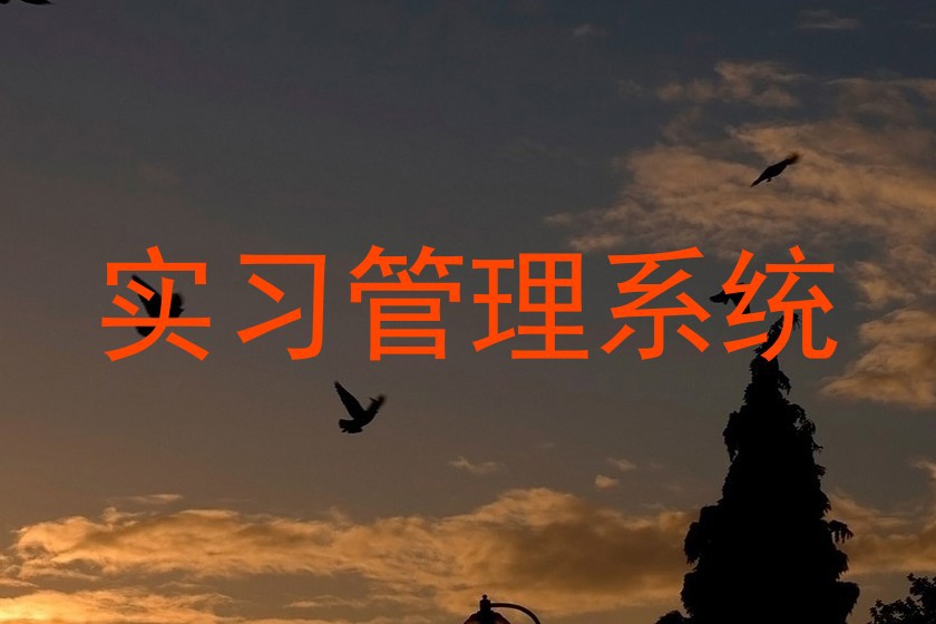 实习管理系统