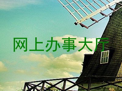 网上办事大厅