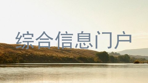 综合信息门户