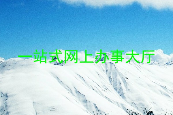 一站式网上办事大厅