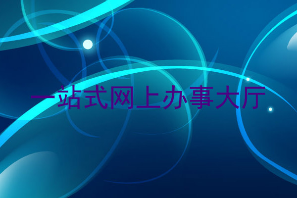 一站式网上办事大厅