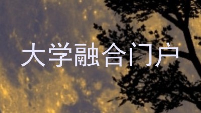 大学融合门户