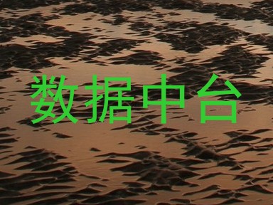 数据中台