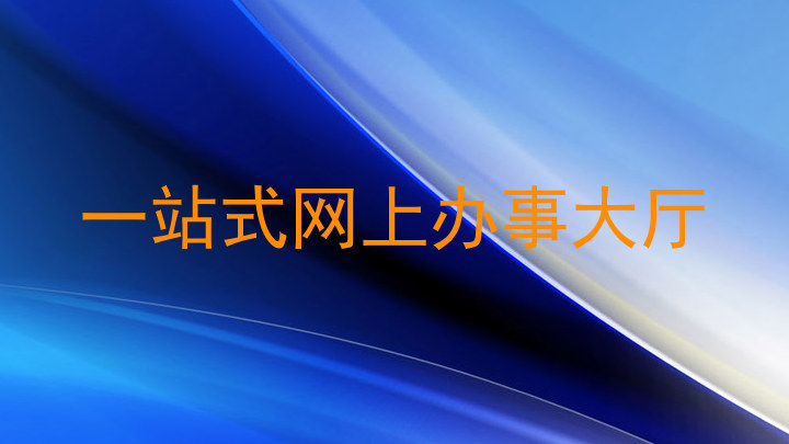 一站式网上办事大厅