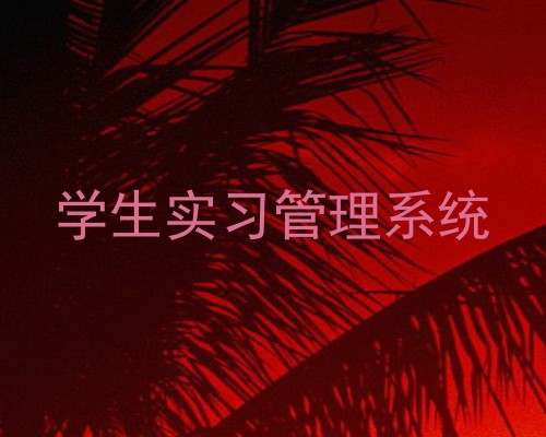 学生实习管理系统