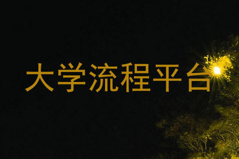 大学流程平台