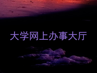 大学网上办事大厅