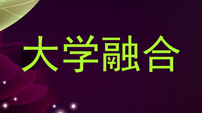 大学融合