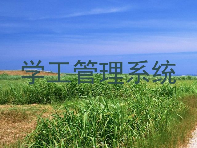 学工管理系统