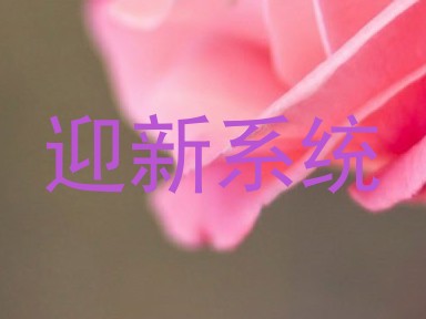 迎新系统