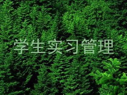 学生实习管理
