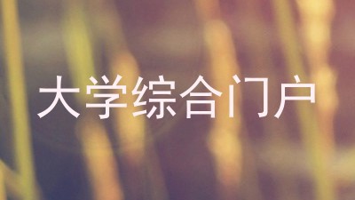 大学综合门户