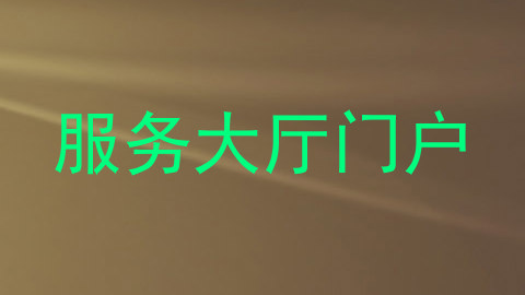 服务大厅门户