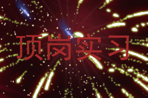 顶岗实习