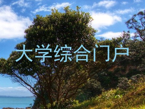 大学综合门户