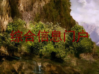 综合信息门户