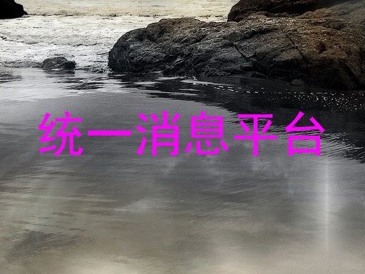 统一消息平台
