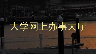 大学网上办事大厅