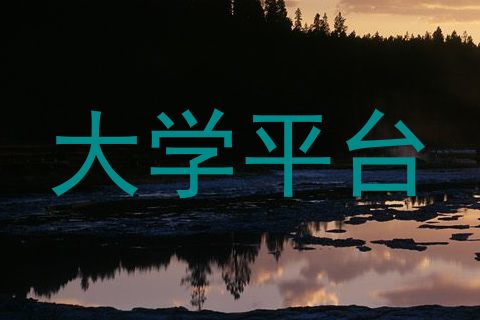 大学平台