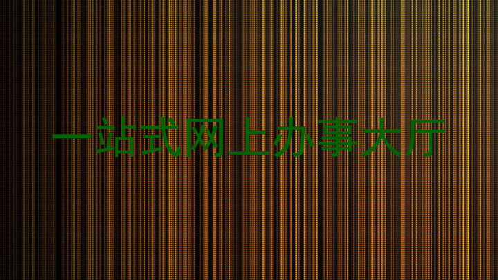 一站式网上办事大厅