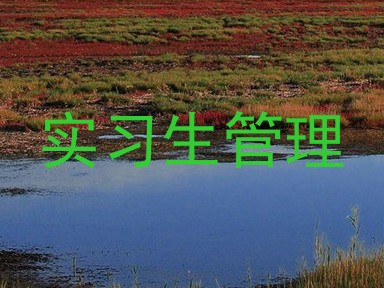 实习生管理
