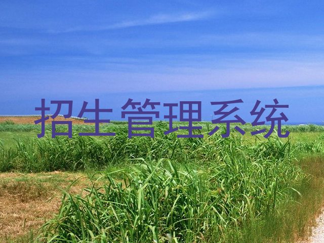 招生管理系统