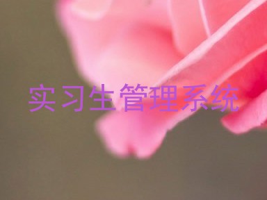 实习生管理系统