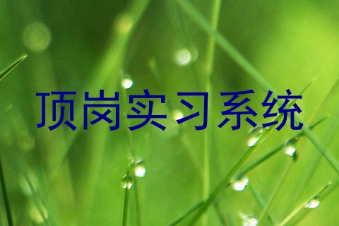 顶岗实习系统