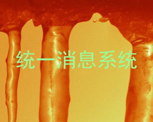 统一消息系统