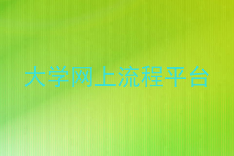 大学网上流程平台