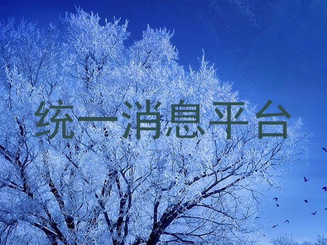 统一消息平台