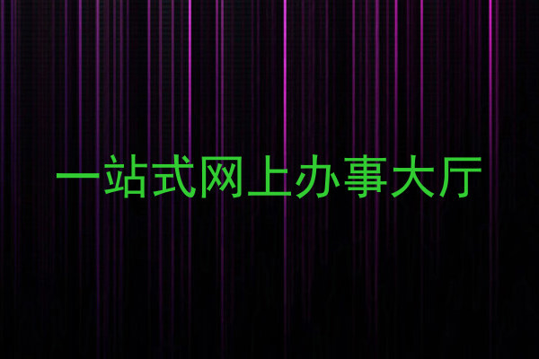 一站式网上办事大厅