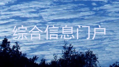 综合信息门户