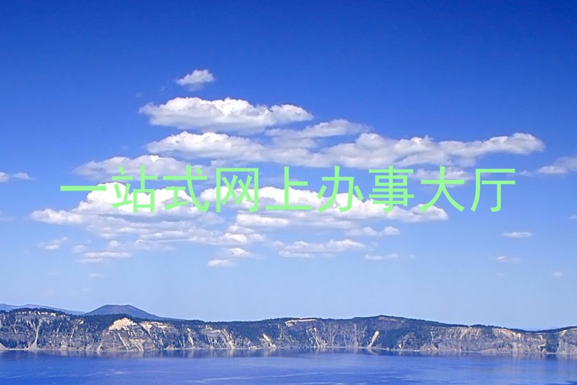 一站式网上办事大厅