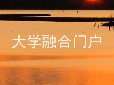 大学融合门户