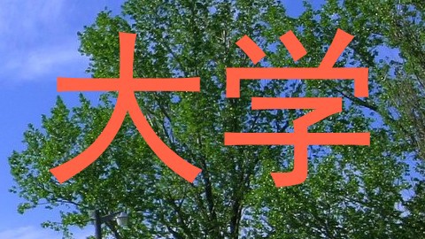 大学
