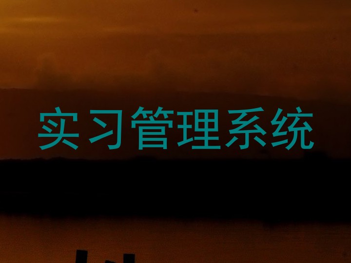实习管理系统