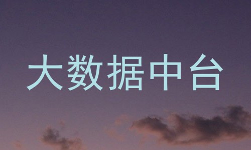 大数据中台