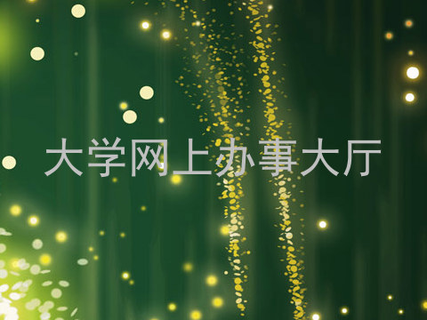 大学网上办事大厅