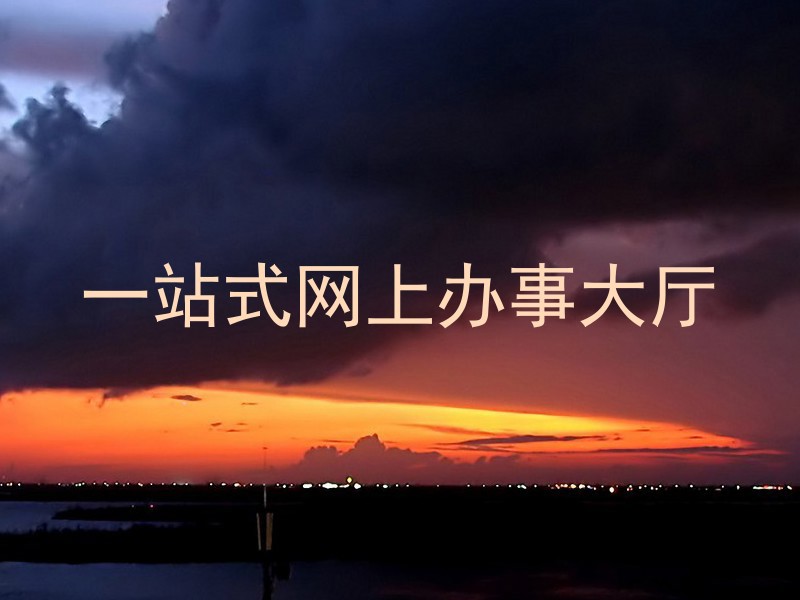 一站式网上办事大厅