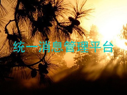 统一消息管理平台